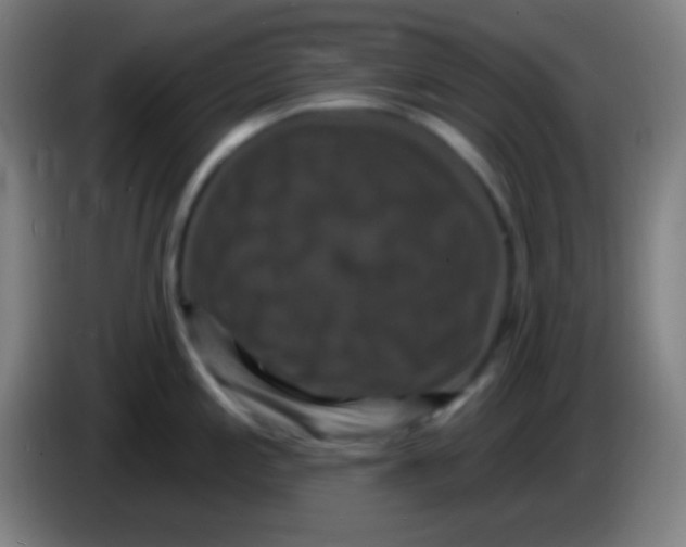 X0000085301197200703301953