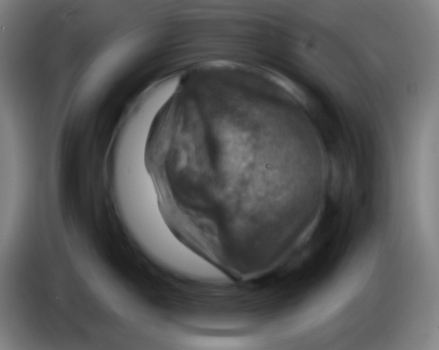 X0000085301198200703301953