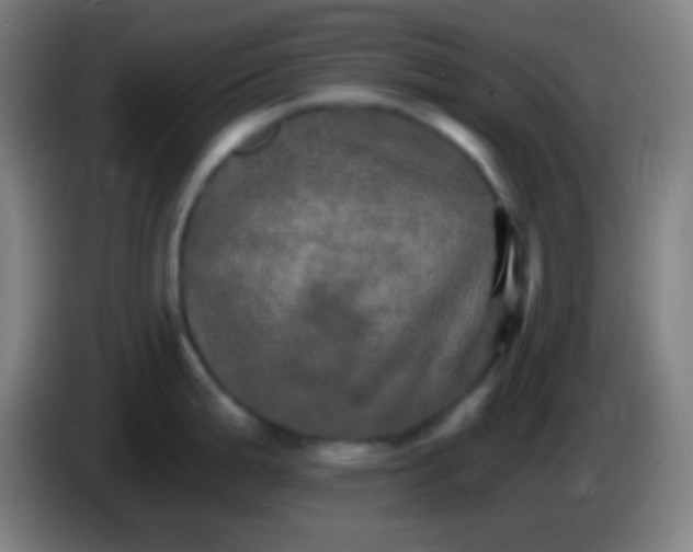 X0000085301199200703301953