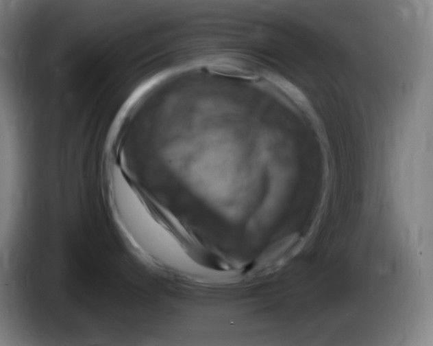 X0000085301200200703301953