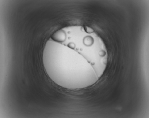 X0000085301201200703301952