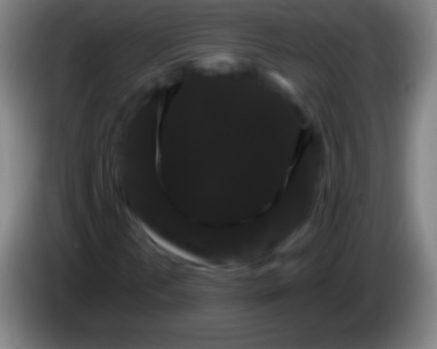 X0000085301202200703301952