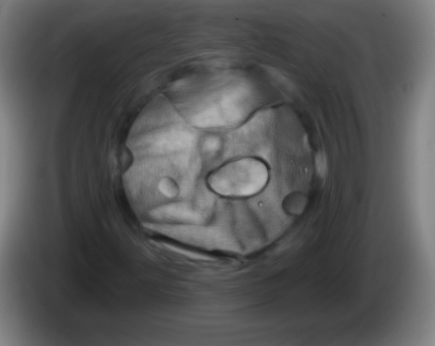 X0000085301203200703301952