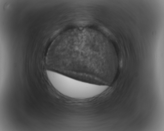 X0000085301204200703301952