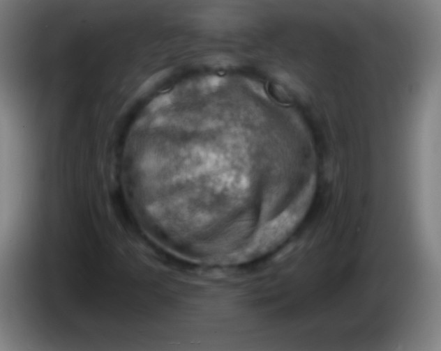 X0000085301205200703301952