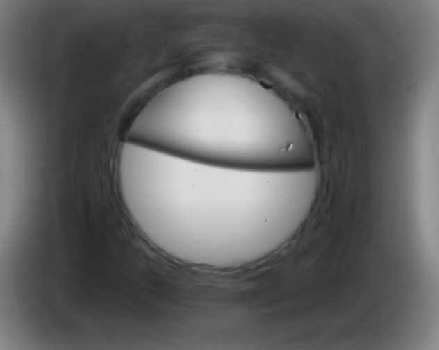 X0000085301206200703301952