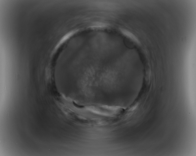 X0000085301208200703301952