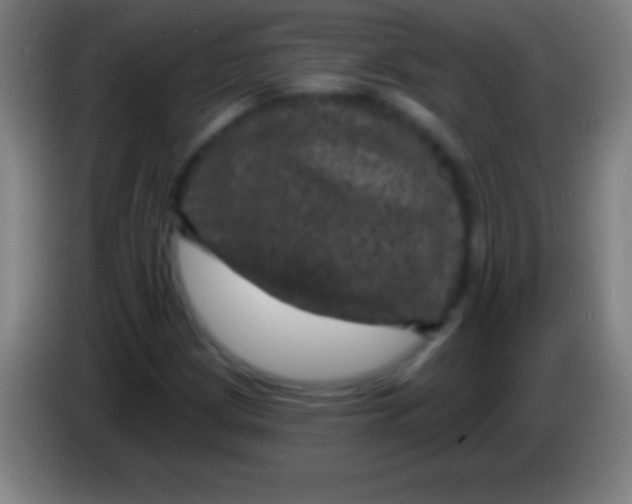 X0000085301209200703301952