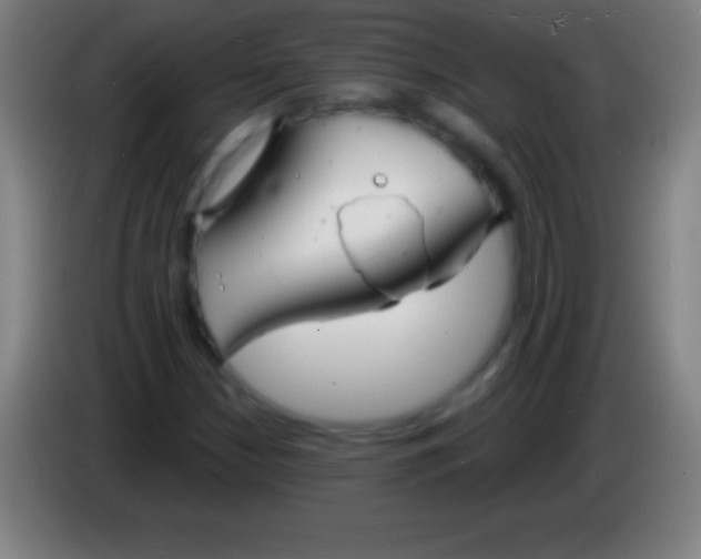 X0000085301210200703301952