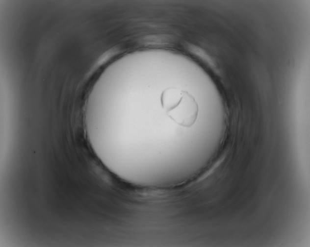 X0000085301211200703301952