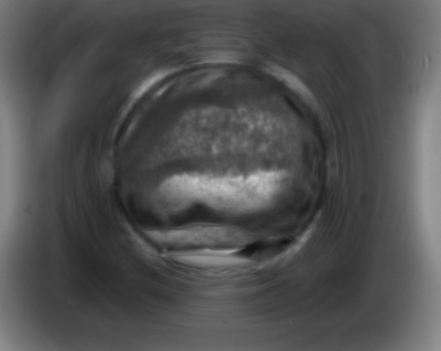 X0000085301212200703301952