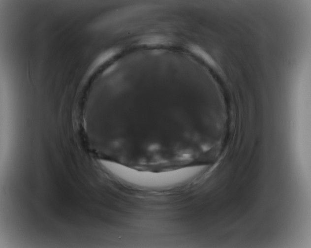 X0000085301213200703301953