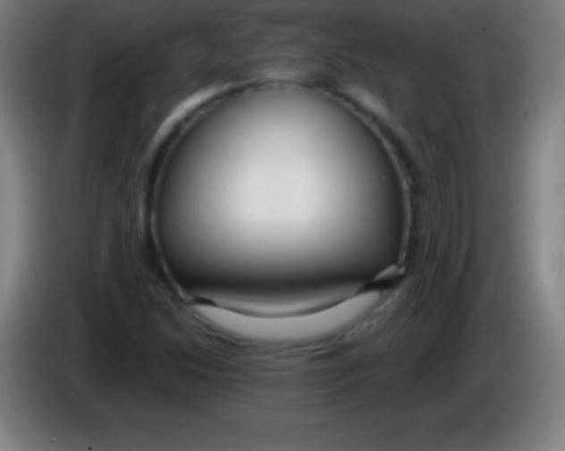 X0000085301214200703301953