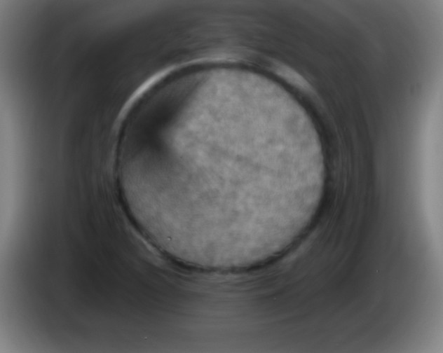 X0000085301216200703301953