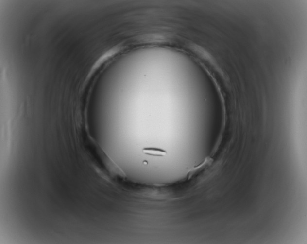 X0000085301218200703301953