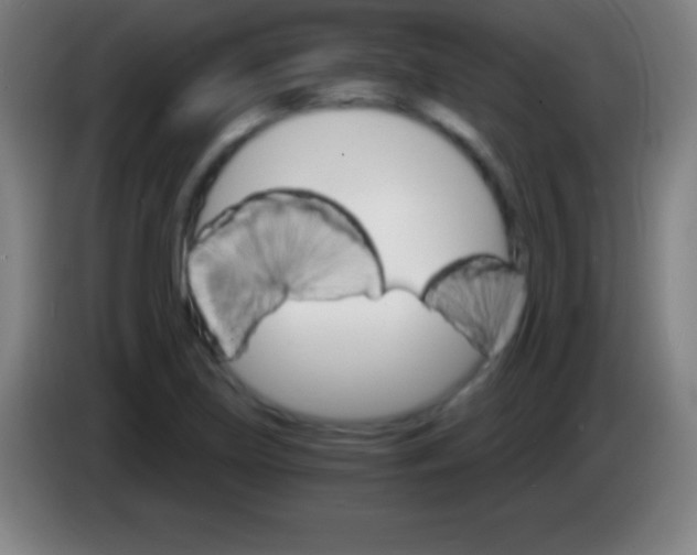 X0000085301219200703301953