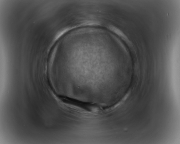 X0000085301220200703301953