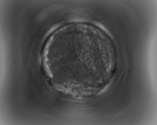 X0000085301221200703301953