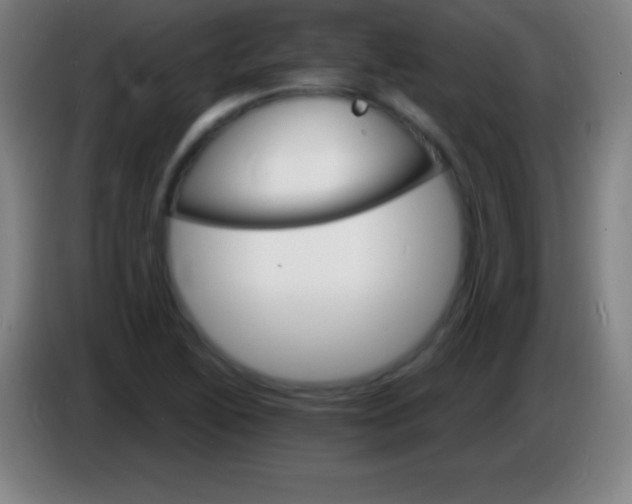 X0000085301222200703301953