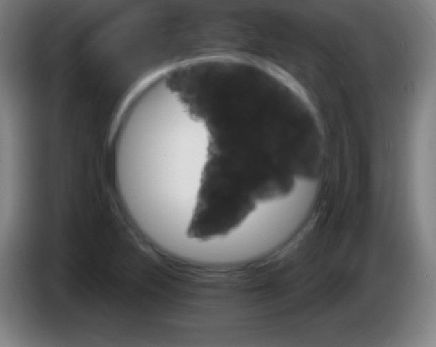 X0000085301223200703301953