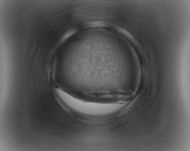 X0000085301225200703301953