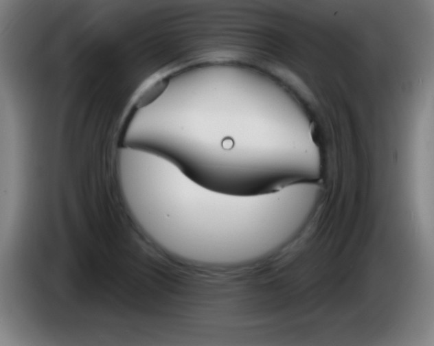 X0000085301226200703301953