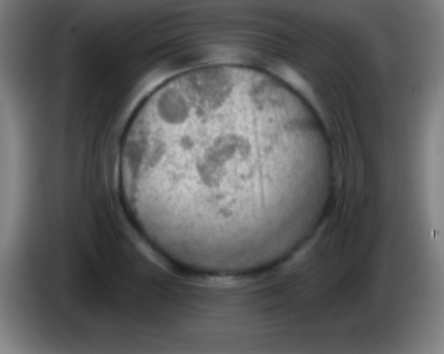 X0000085301227200703301953