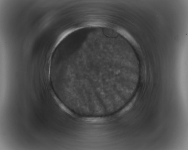 X0000085301228200703301953