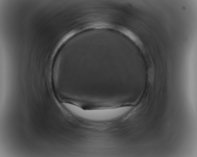 X0000085301229200703301953