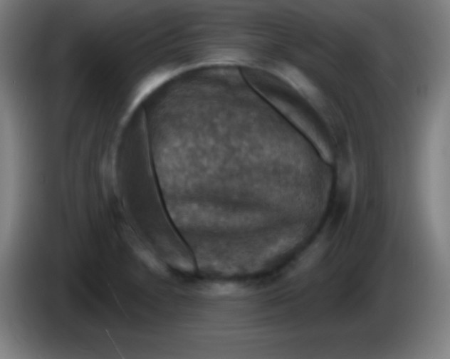 X0000085301230200703301953