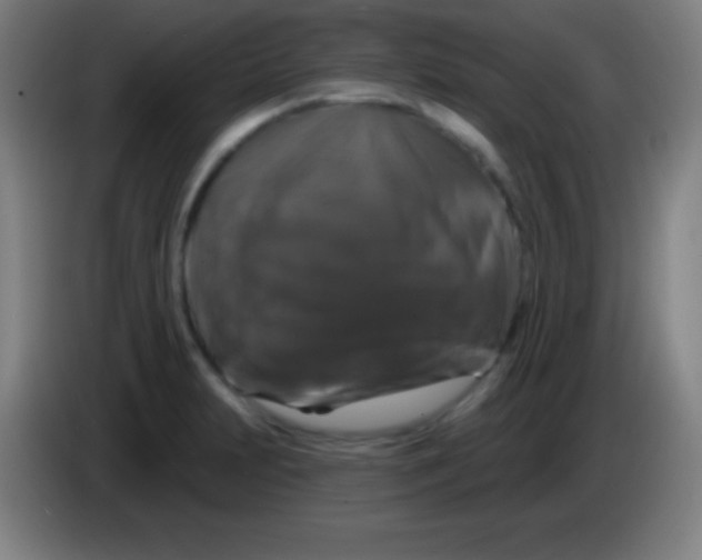 X0000085301231200703301953