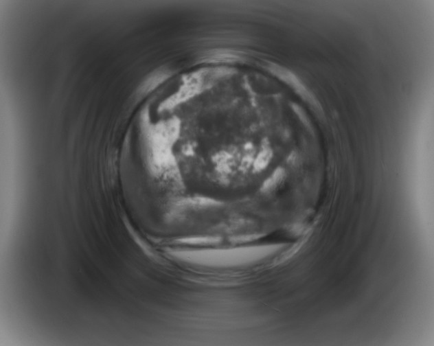 X0000085301233200703301953