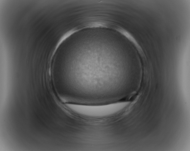 X0000085301234200703301953