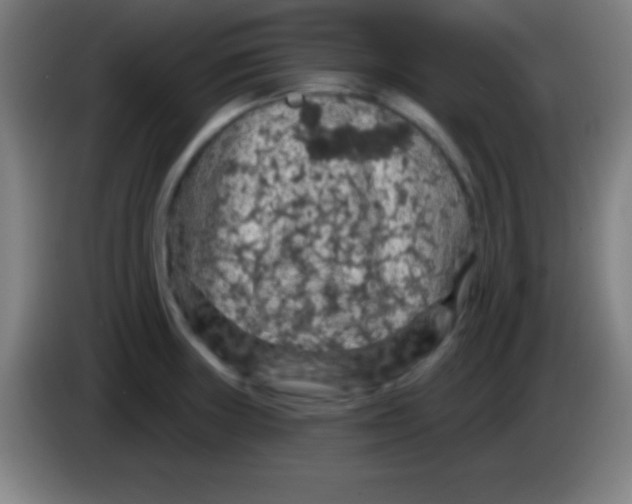 X0000085301235200703301953