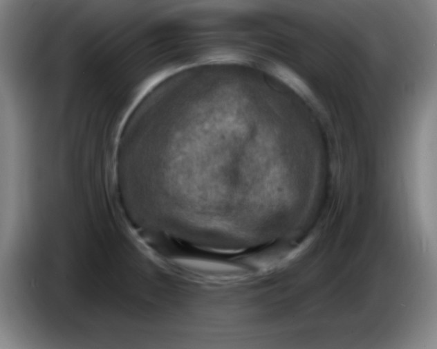 X0000085301236200703301953