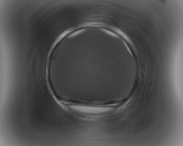 X0000085301237200703301953