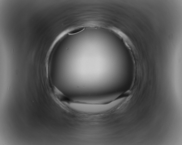 X0000085301238200703301953