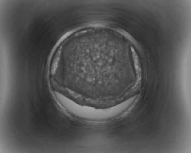 X0000085301240200703301953