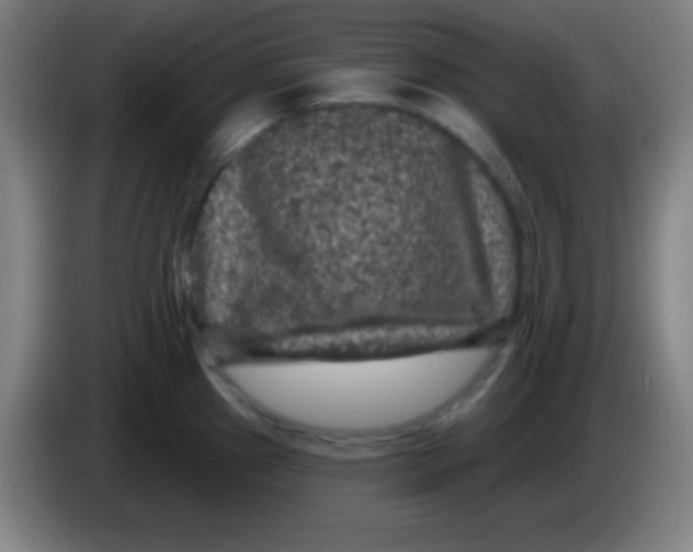 X0000085301241200703301953