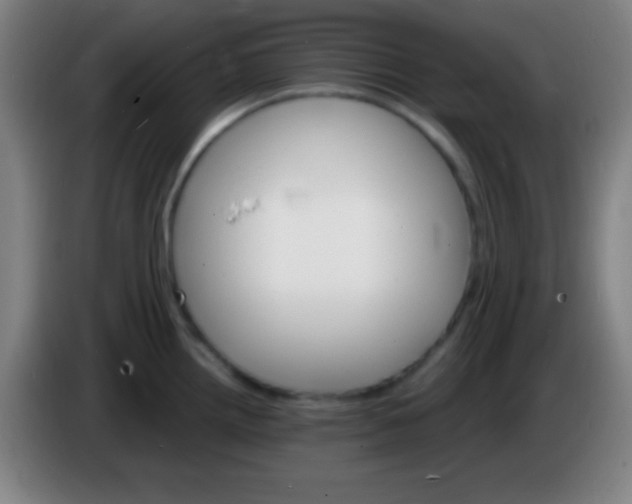 X0000085301242200703301953