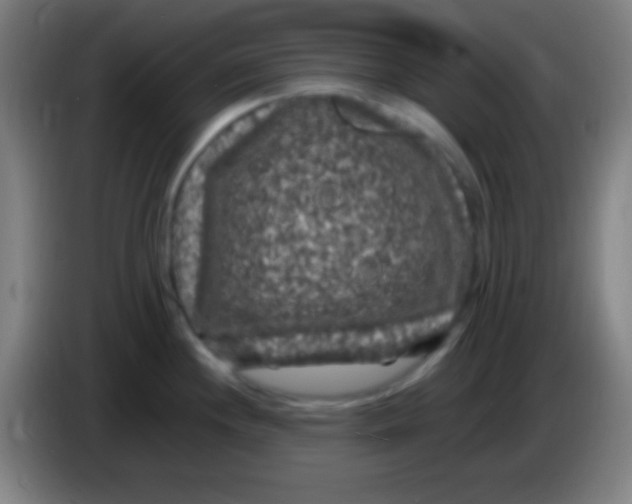 X0000085301244200703301953