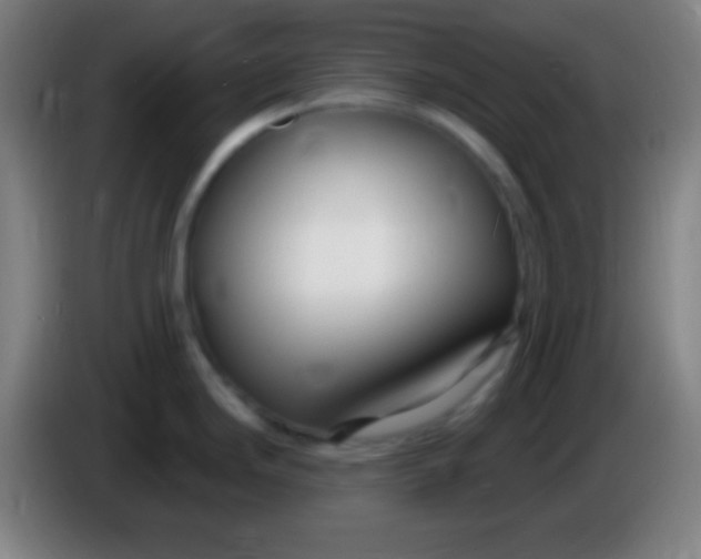 X0000085301246200703301953