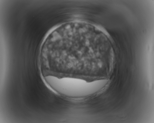 X0000085301247200703301953