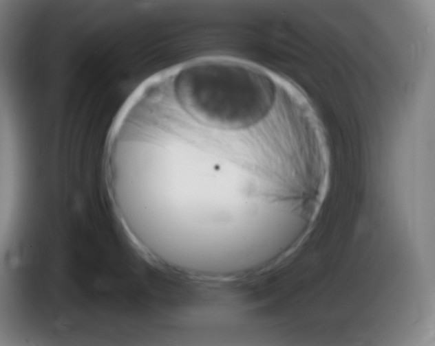 X0000085301248200703301953