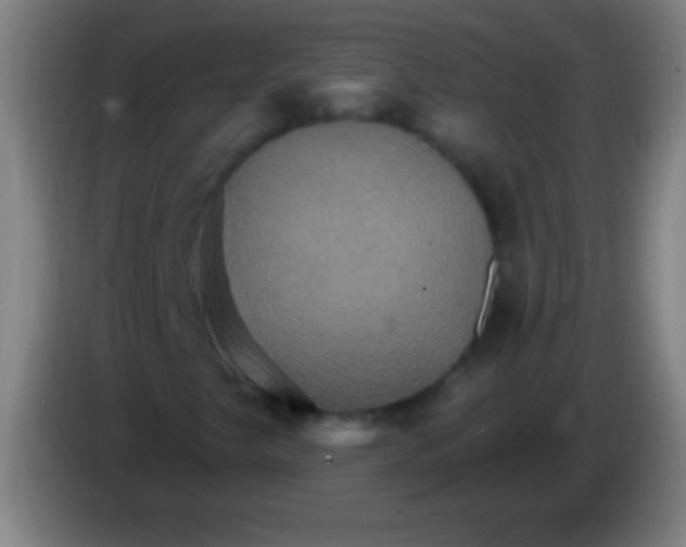 X0000085301249200703301952