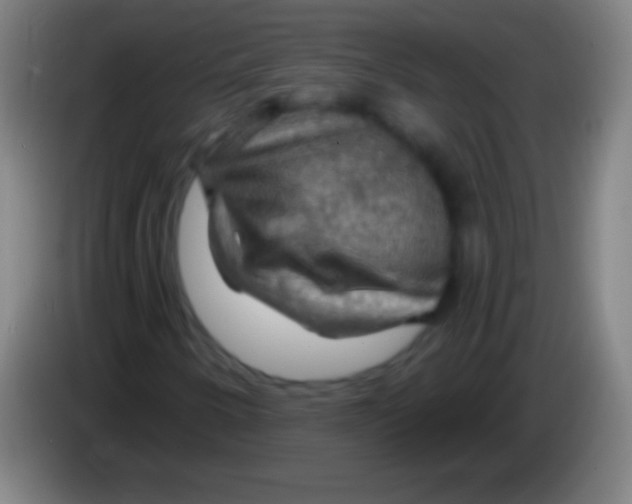 X0000085301250200703301952