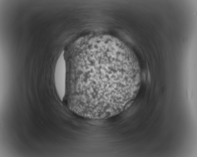 X0000085301251200703301952