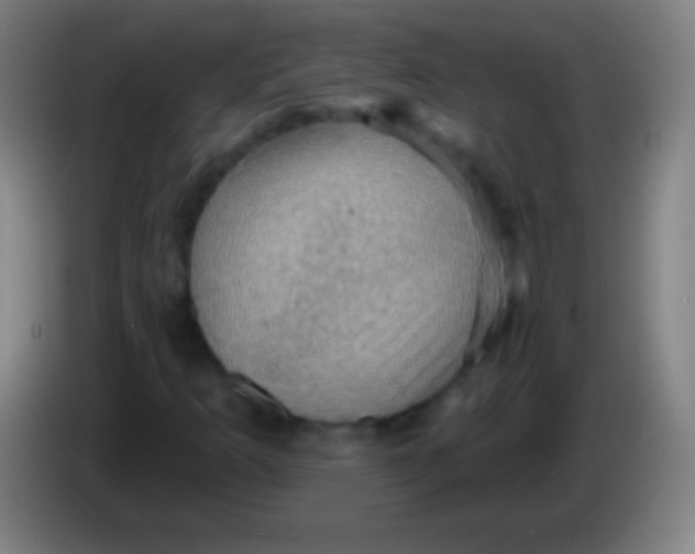 X0000085301253200703301952