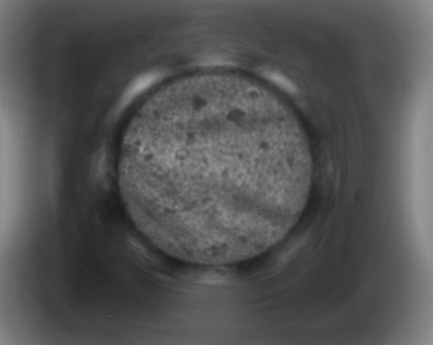 X0000085301255200703301952