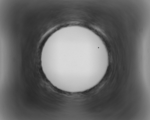 X0000085301256200703301952